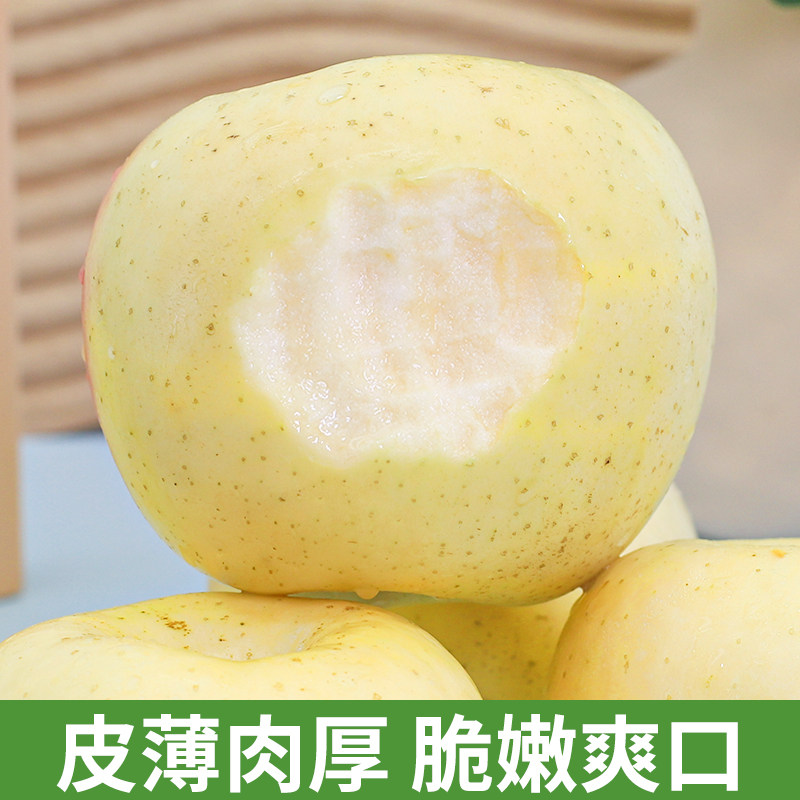 正宗山东烟台奶油富士10斤新鲜苹果 铂果苹果