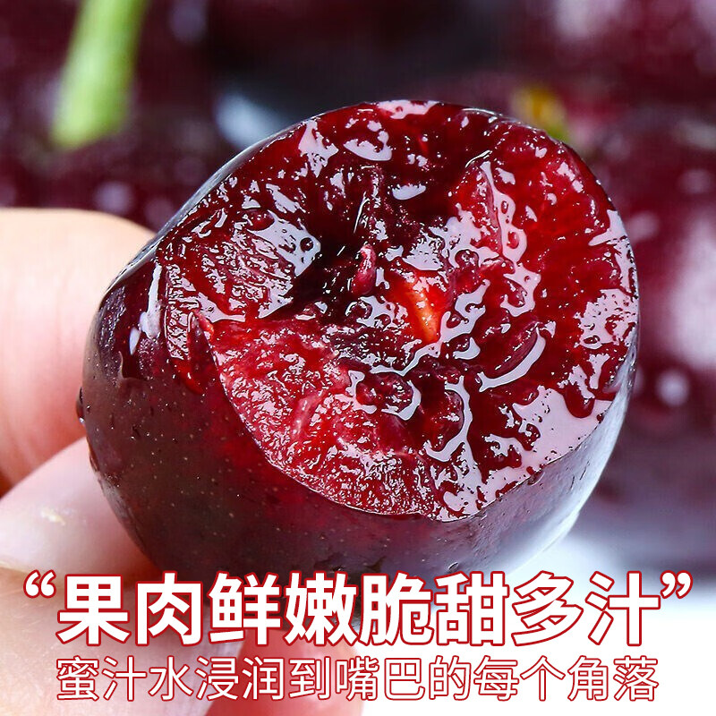 顺丰空运5斤4j美早新鲜国产大樱桃 铂果车厘子/樱桃