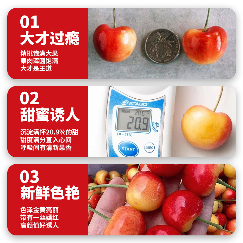  铂果车厘子/樱桃