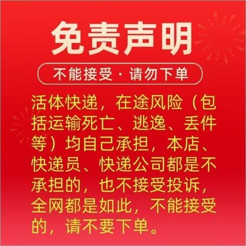 活体代寄顺丰京东乌龟鹦鹉鱼活物兔仓鼠守宫快递上门取件宠物代发 - 图2
