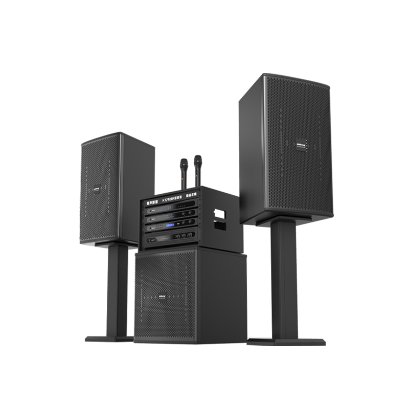 Qisheng Family KTV Audio Karaoke Set