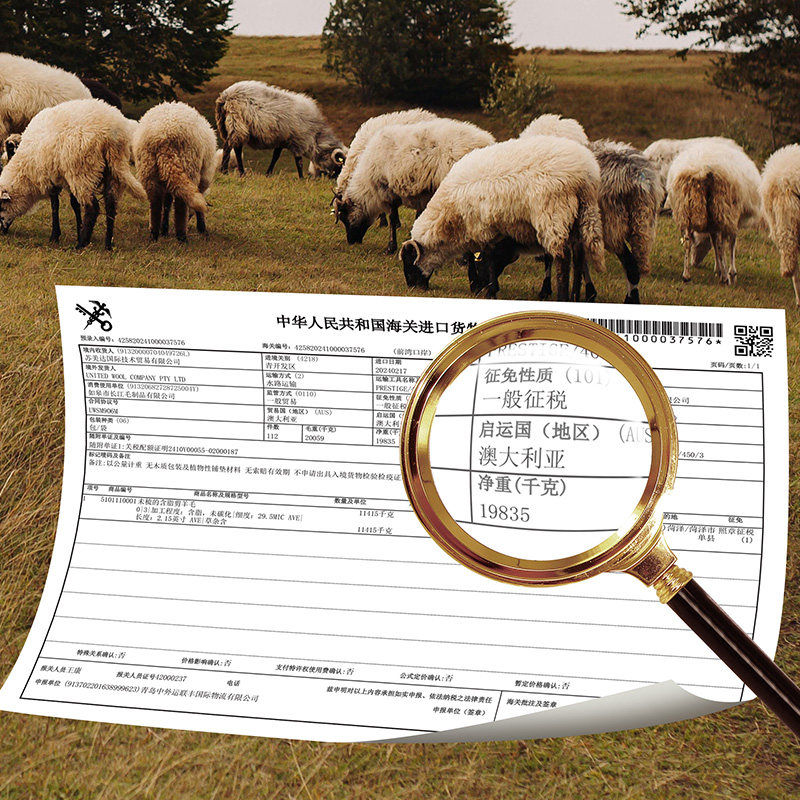 佳丽斯澳洲进口羊毛冬被子加厚保暖家用美利奴羊毛被芯旗舰店正品,淘宝优惠券,粉丝福利购,淘宝优惠卷