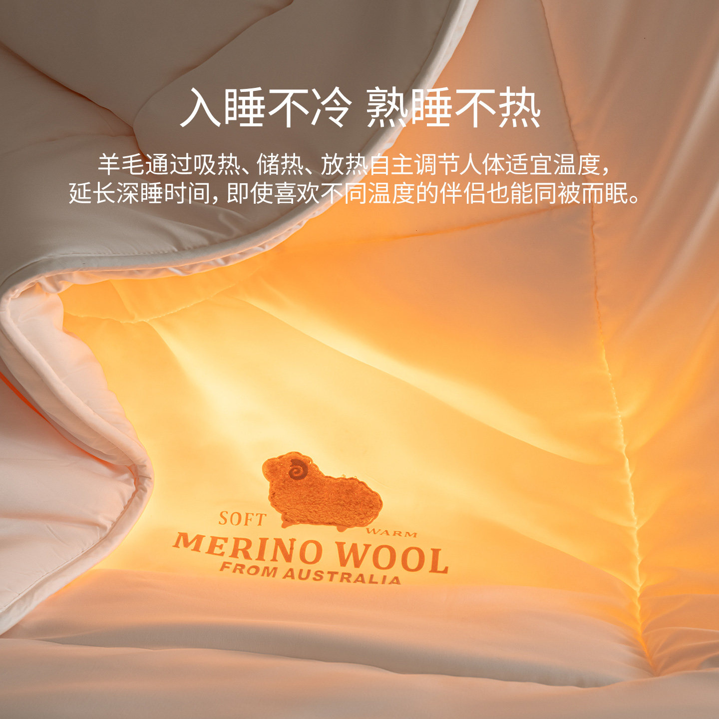 佳丽斯澳洲进口100纯羊毛被子A类春秋被加厚保暖冬被四季通用被芯,淘宝优惠券,粉丝福利购,淘宝优惠卷