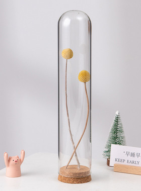 DIY永生花软木塞玻璃罩手办盲盒微景观防尘罩软陶黏土套装