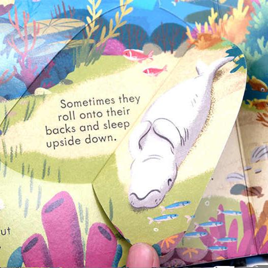 Usborne出品看里面系列海洋 英文原版绘本 Look Inside Seas and Oceans 儿童英语启蒙纸板翻翻书 科普百科 亲子共读 精美插图