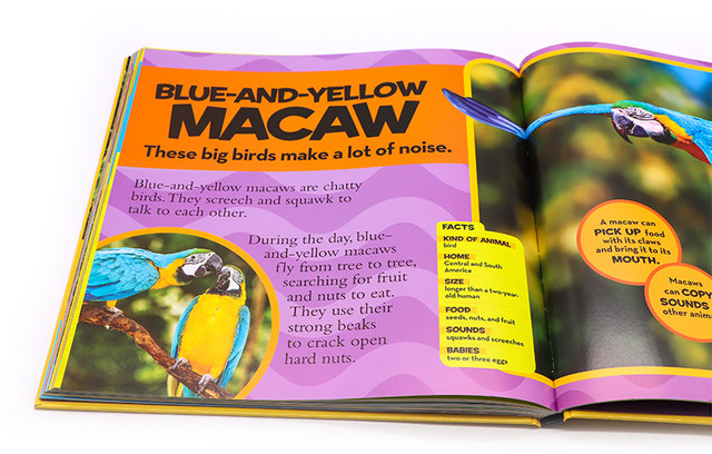 National Geographic Hardcover Children's Encyclopedia English Original Edition