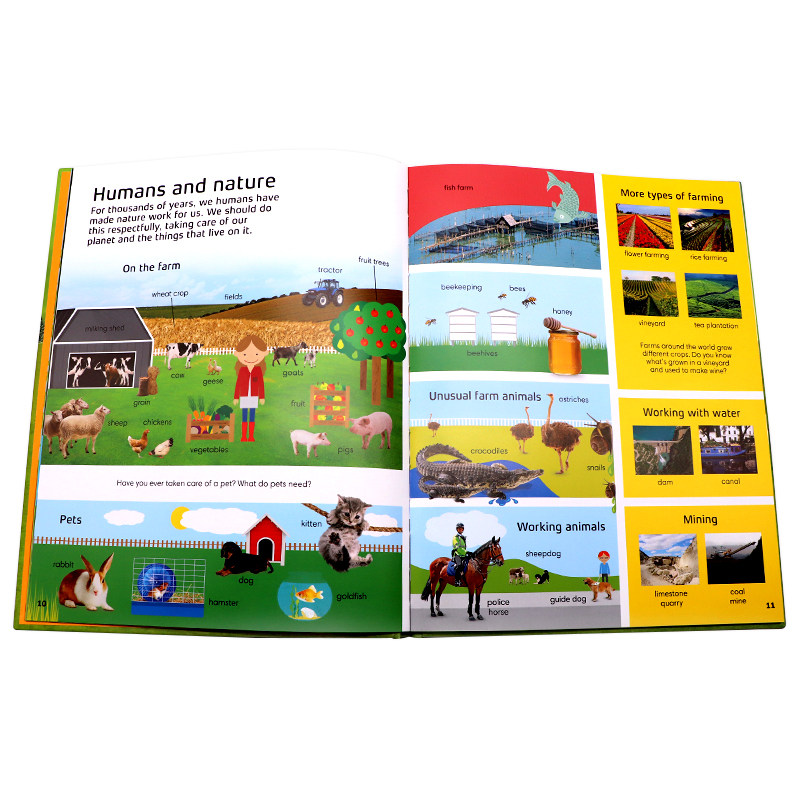 dk1000词英文原版1000 Words Nature 1000个自然词汇 插图图解字典词典 儿童英语启蒙词汇量积累读写能力提升野生动物自然环境科普