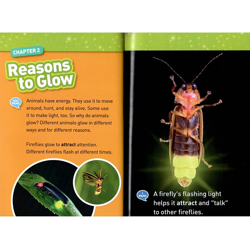 100元5件 国家地理kids 美国国家地理分级阅读1级别National Geographic Kids Readers Level 1 英文原版图书儿童科普百科认知读物