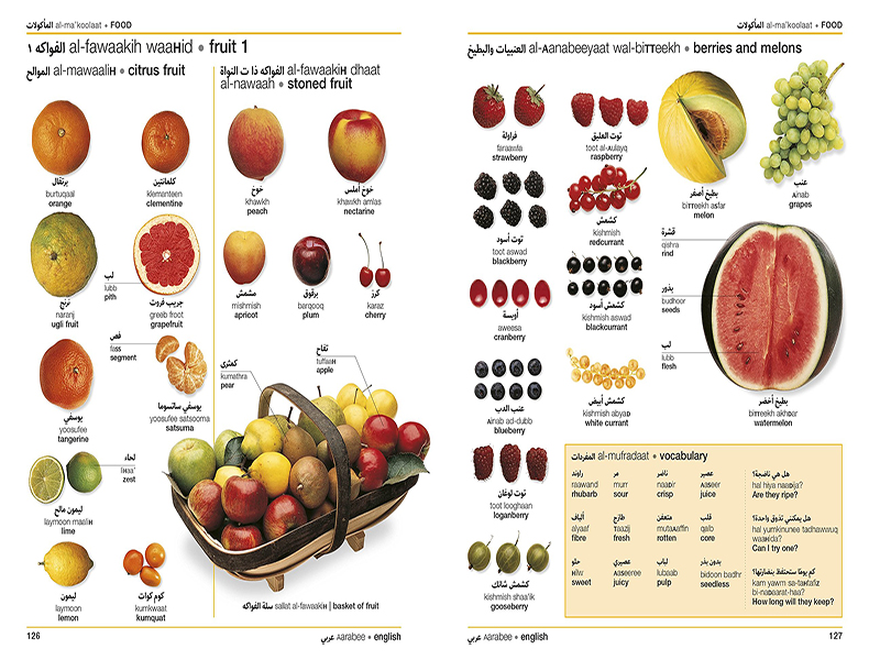 DK语言字典双语图解字典polish english Bilingual Visual Dictionary英文原版波兰英双语韩语葡萄牙语视觉词典字典语言学习工具书 - 图2