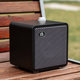 Natasha A30 speakers and guitar wireless transceiver