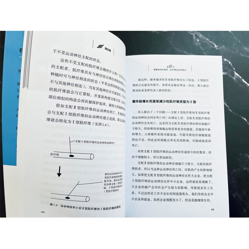 肌肉的科学 肌肉的作用 肌肉基本构造 肌肉的发力机制 在实际运动中发挥肌肉的力量 衡量训练效果的指标 增强肌力的代表性训练方法 - 图1