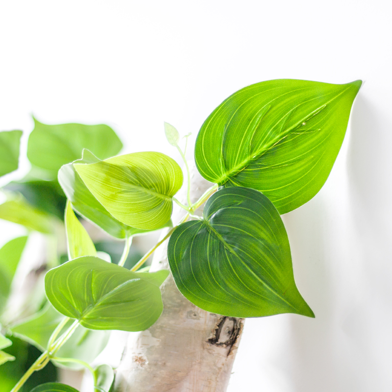 仿真绿萝叶藤条仿真植物假绿萝藤蔓空调管道缠绕装饰绿叶塑料壁挂-图1