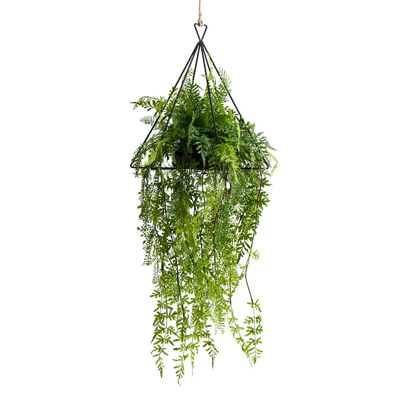 森系垂吊蕨类吊球家居装饰商铺橱窗吊顶仿真景观造景植物波斯草球,淘宝优惠券,粉丝福利购,淘宝优惠卷