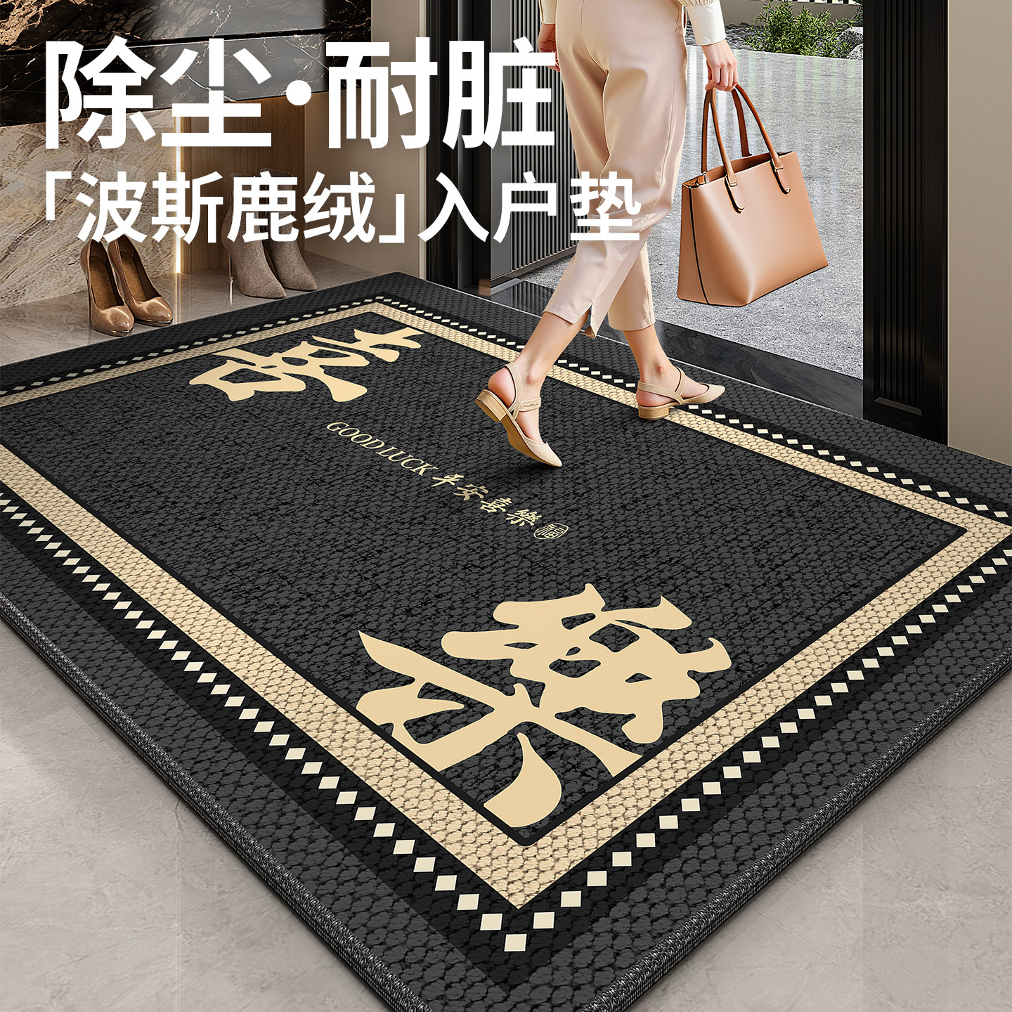 2026新款地垫入户门垫进门专用地毯高级感门口脚垫家用脚踏垫玄关,淘宝优惠券,粉丝福利购,淘宝优惠卷