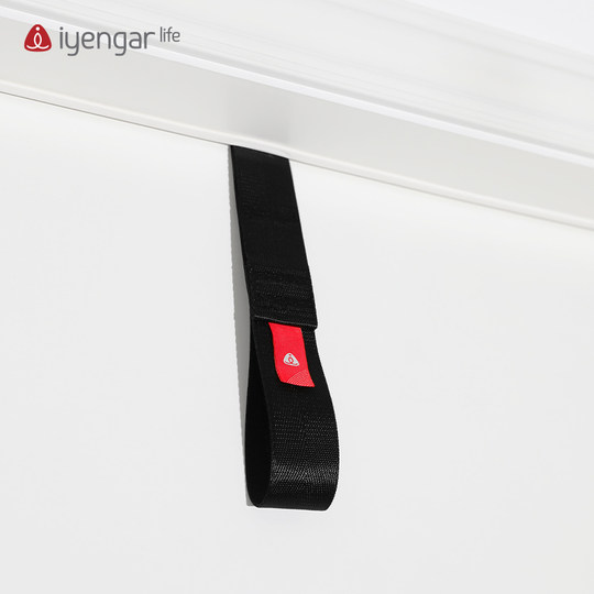 Iyengar life yoga aid travel portable door