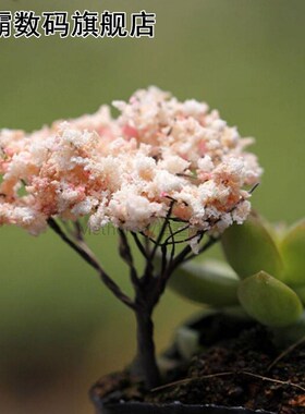 9 Styles Mini Tree Fairy Garden Decorations Miniatures Micro