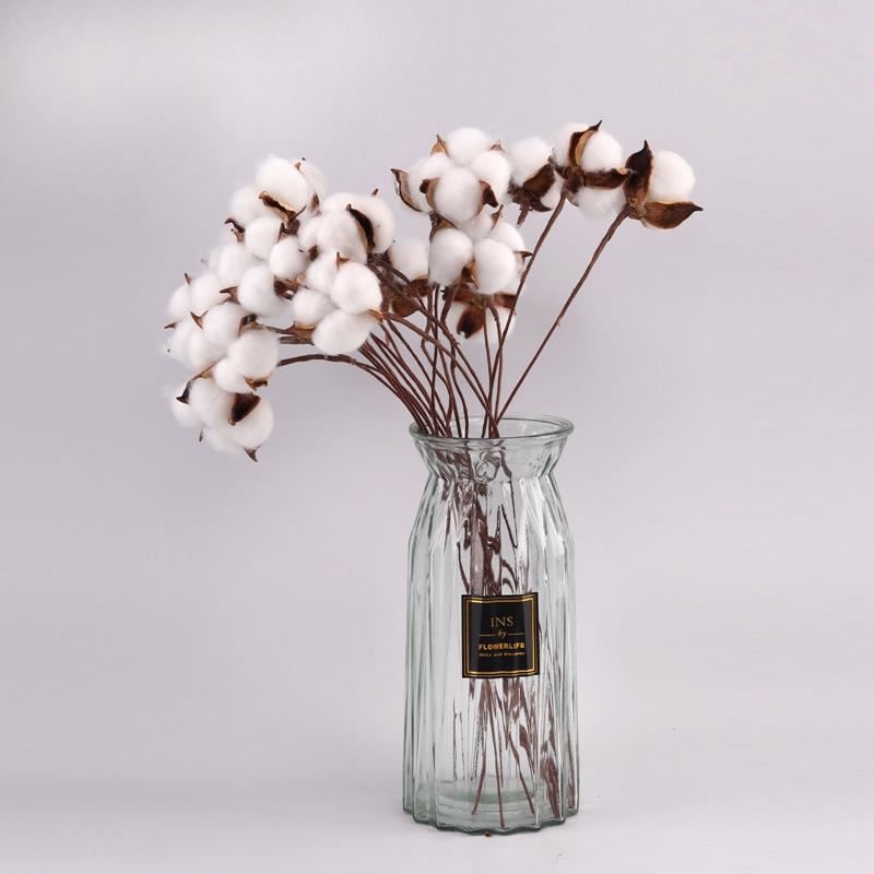 Real Dried Cotton Flowers Tulip White Home Decorative Artifi - 图0