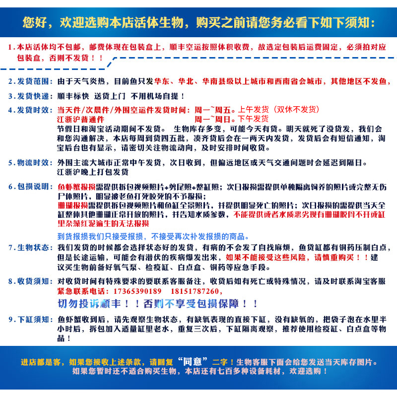 印尼澳洲沙巴手指皮革人工繁殖软体珊瑚长须花环非日皮海水活体2-图2