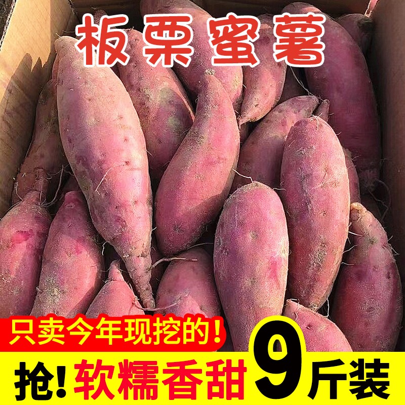 新鲜沙地蜜薯9斤10板栗红薯 百泰源番薯