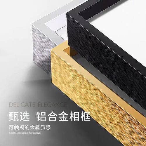 VINLAA为㚓潮品拼图福思VOX裱框相框缤纷都市铝合金长画相框定制 - 图2