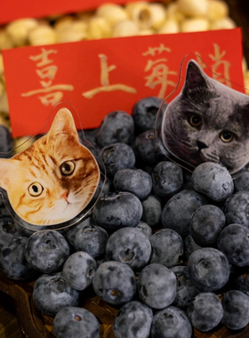 宠物照片亚克力胸针定制