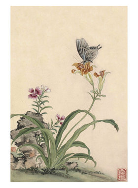 中式装饰画蒋廷锡花卉虫草花鸟画