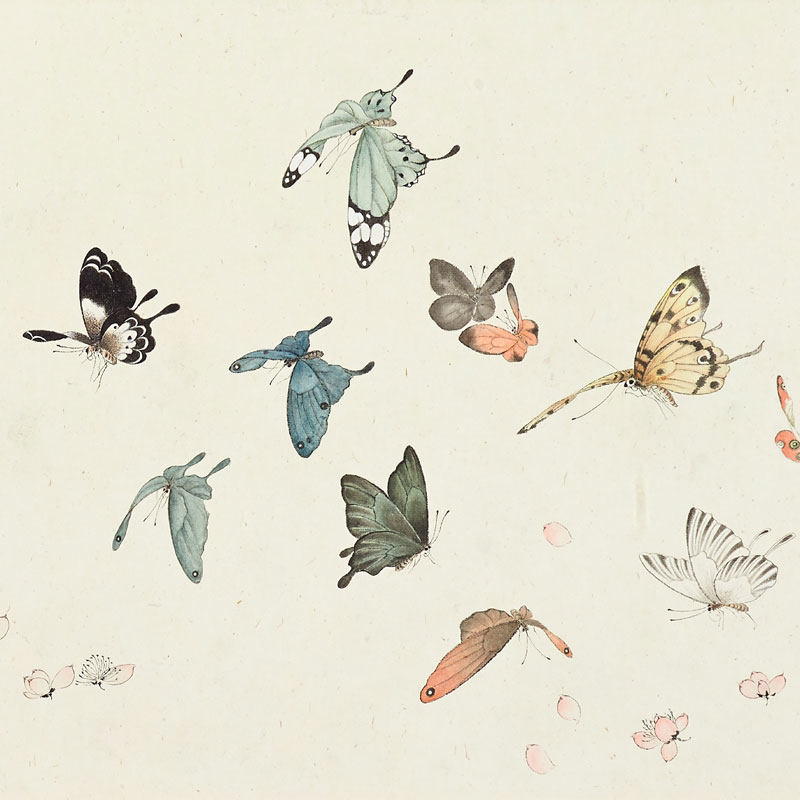 画说溥儒百蝶图吉祥花鸟画挂画国画古代名画复制品仿古画装饰画,淘宝优惠券,粉丝福利购,淘宝优惠卷