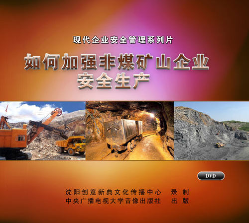 安全月光盘视频 如何加强非煤矿山企业安全生产2DVD培训视频 - 图0