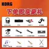 Korg Synthetic Accompanent Formation Клавиатура PA700 1000 300 600 PA5X EK50 Электронное пианино