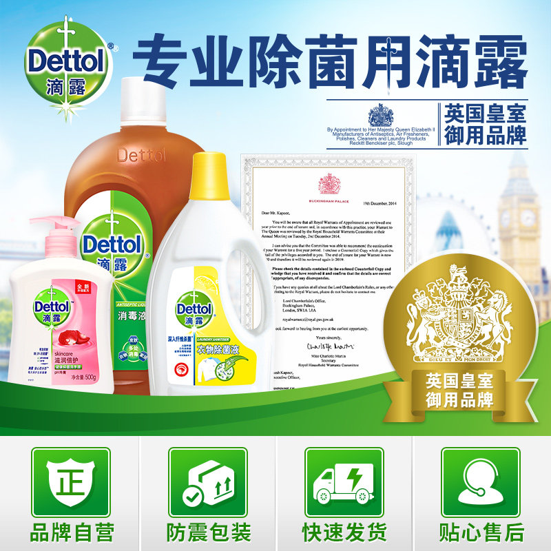 滴露500g*2送600g补充装 趣堂居家日用洗手液