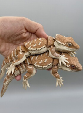 DIY定制-Bearded Dragons 鬃狮蜥 仿生关节可动逼真科教模型标本