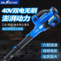 Pluto 40v dual battery blower high-pressure multi-gear adjustable wind power DC electric dust removal blower