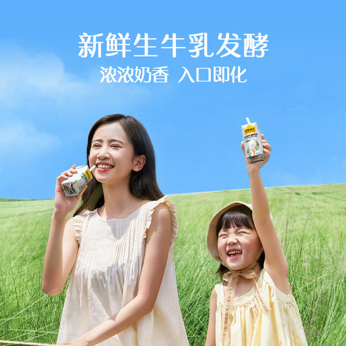 认养一头牛法式原味酸奶200g*12盒儿童学生代餐整箱官方旗舰店 - 图2