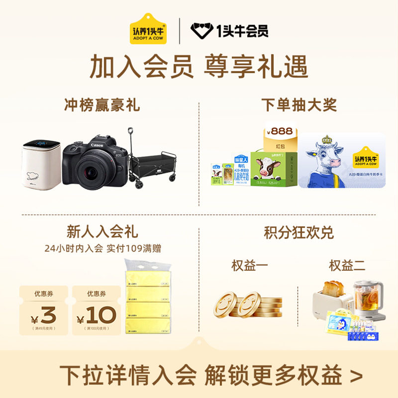 认养一头牛奈娃家族联名零乳糖牛奶无乳糖牛奶125ml*12盒6月产