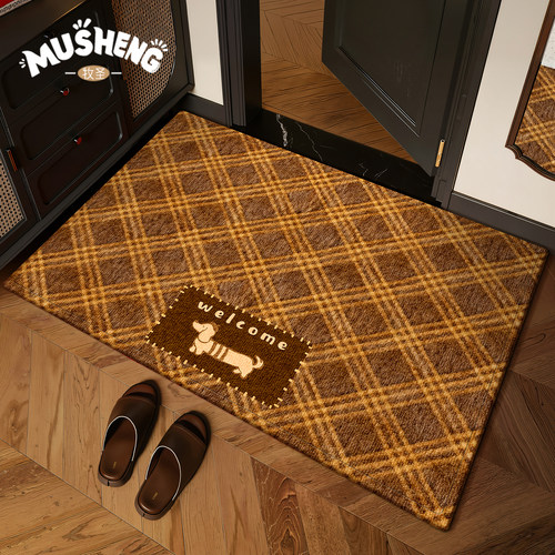2026新款卡通入户门地垫玄关防滑脚垫大门口高级进门耐脏地毯垫子 - 图0