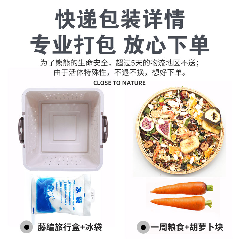 长毛金丝熊家养温顺原始虎纹金丝鼠健康活物包活好养不臭宠物仓鼠,淘宝优惠券,粉丝福利购,淘宝优惠卷