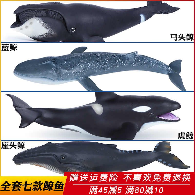 鲸鱼座 新人首单立减十元 2021年12月 淘宝海外