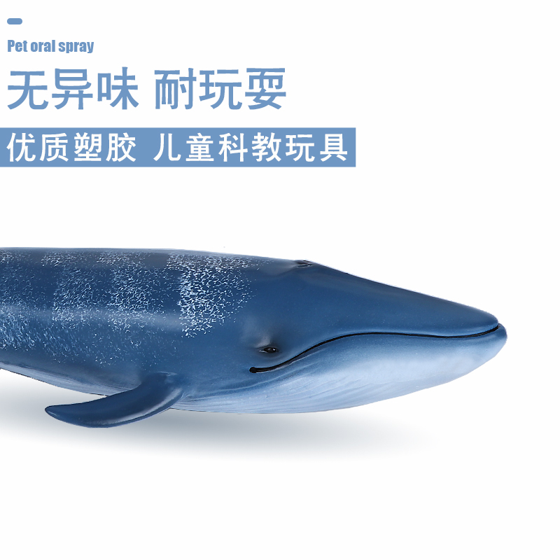 仿真海洋生物模型软胶蓝鲸玩具鲸鱼儿童科教认知礼物摆件海底世界 - 图1