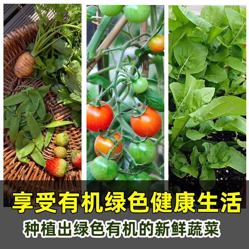 土壤营养土种菜专用土家用阳台种植有机蔬菜肥料育苗营养肥土种菜-图2