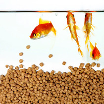 Goldfish Feed Brocade Carp Fish Brocade Carp Feed Small Goldfish Brocade Carp Feed Grain grain Ornamental Fish Parrot Grain