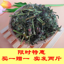 Yi Mont Shandong Wild Fresh Sunburn Red Flowers long pole motherwort Tea short pole Chinese herbal medicine conditioning Aunt Qi Blood