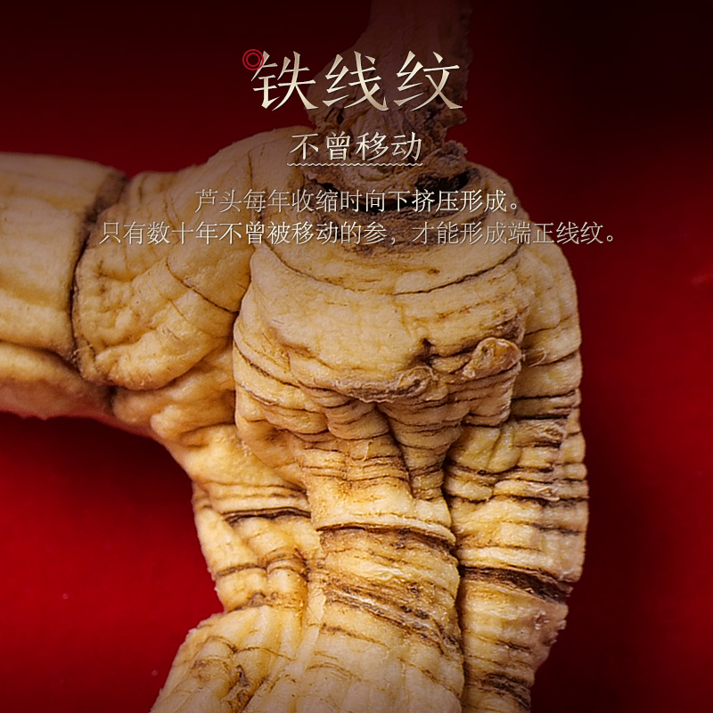 长白山一等国检证书东北特产野山参 长白山人参人参/园参及其制品