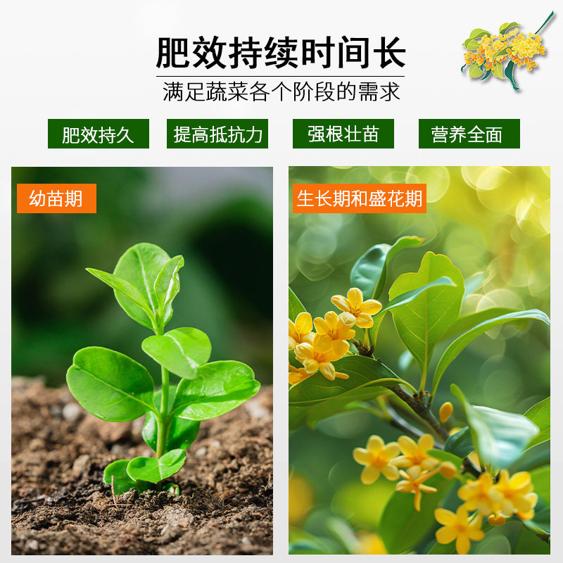 桂花树肥料专用肥四季桂盆栽开花肥控释缓释肥黄叶干尖枯叶病花肥,淘宝优惠券,粉丝福利购,淘宝优惠卷