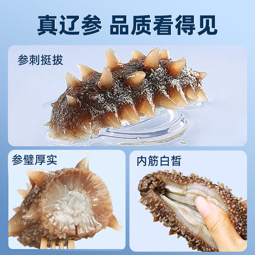大连海参鲜蒸海参即食辽刺参深海刺参独立包装袋开袋即食1000g - 图0