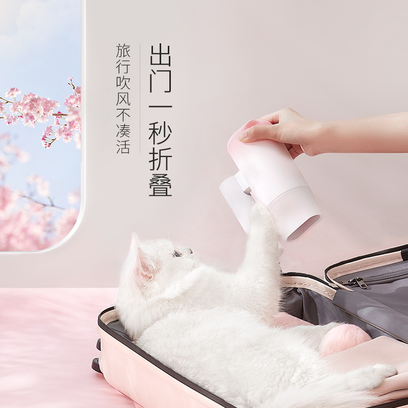 直白个人护理旗舰店直白负离子家用吹风机可折叠无声速干大功率学生宿舍护发电吹风筒2