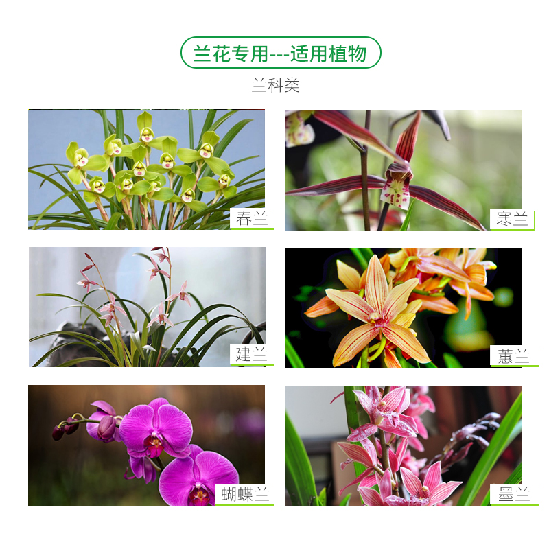 植物通用型营养液通用型花肥料兰花绿萝多肉专用型液体花卉 植物通用型营养液通用型花肥料兰花绿萝多肉专用型液体花卉