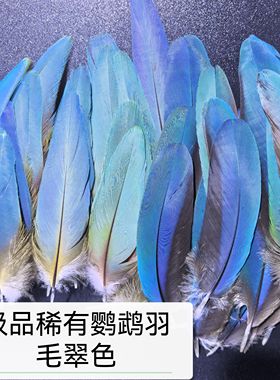 特价点翠羽毛工艺上浆孔雀脖子蓝片DIY手工饰品装饰配件材料羽毛