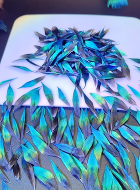 蓝片点翠工艺羽毛仿点翠手工艺DIY饰品耳坠孔雀脖子蓝片养殖精选