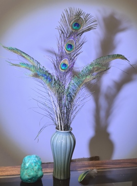 真孔雀羽毛插瓶国产真翎尾大眼睛花瓶家居摆设客厅DIY配件风水翎