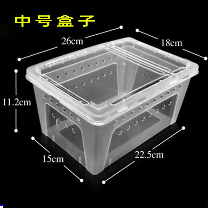 蜗牛盒子宠物饲养箱白玉蜗牛小中大号专用养殖盒爬虫爬宠窝防逃逸 - 图0